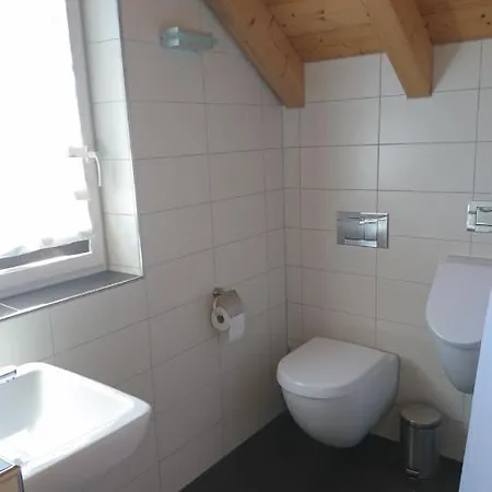 Schoene Loftwohnung Ca. 9km Vom Bodensee Entfernt 史塔卡赫